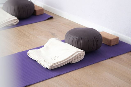 Bild 4 von Non Solo Yoga Partnergalerie