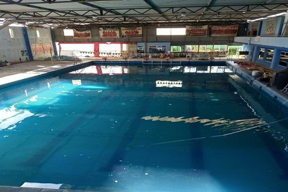 Imagen 4 de la galería del partner Barracudas Swimming Club