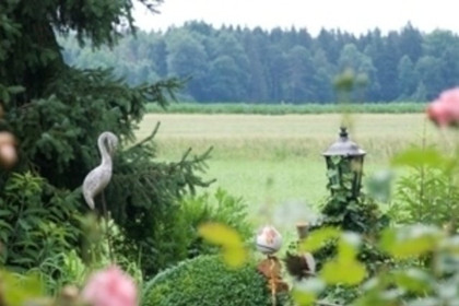 Bild 5 von Fit mit Yoga - Höhenkirchen Partnergalerie
