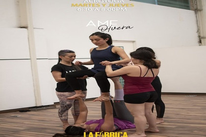 Imagen 1 de la galería del partner La Fábrica Circo y Escena