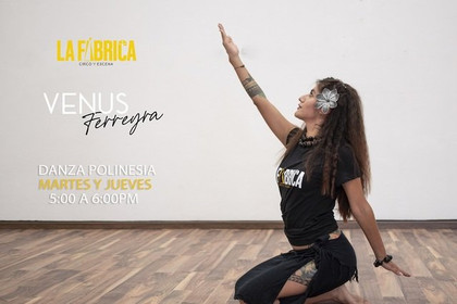 Imagen 2 de la galería del partner La Fábrica Circo y Escena