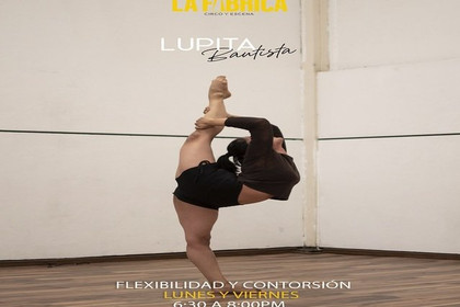Imagen 4 de la galería del partner La Fábrica Circo y Escena