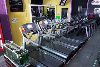 Imagen 2 de la galería del partner Tu Gym