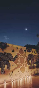 Imagem 1 da galeria do parceiro BioNathus Yoga