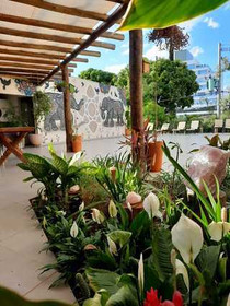 Imagem 2 da galeria do parceiro BioNathus Yoga