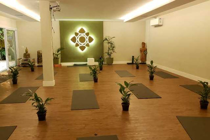 Imagem 5 da galeria do parceiro BioNathus Yoga