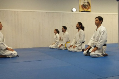 Imagen 4 de la galería del partner Holistic Palma Acupuntura