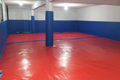 Imagem 5 da galeria do parceiro Gracie Barra Telêmaco Borba - Unidade 2