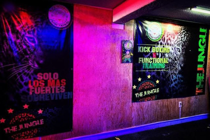 Imagen 2 de la galería del partner Gym The Jungle
