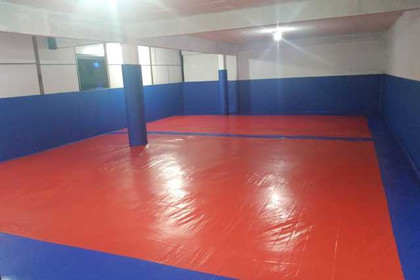 Imagem 4 da galeria do parceiro Provigor Academia