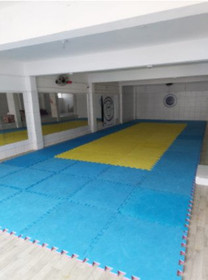 Imagem 5 da galeria do parceiro Complexo de Artes Marciais Mestre Caroço