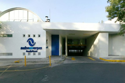 Imagen 2 de la galería del partner Nelson Vargas - Coyoacán