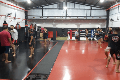 Imagem 5 da galeria do parceiro Team Montanha Bjj