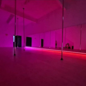 Imagem 1 da galeria do parceiro Moonlight Pole Dance Studio