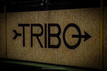 Imagem 4 da galeria do parceiro Tribo BNH