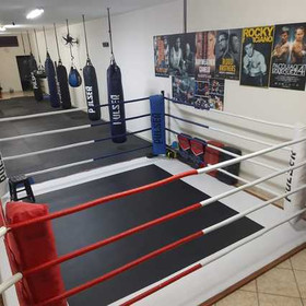 Imagem 5 da galeria do parceiro Padoty CT