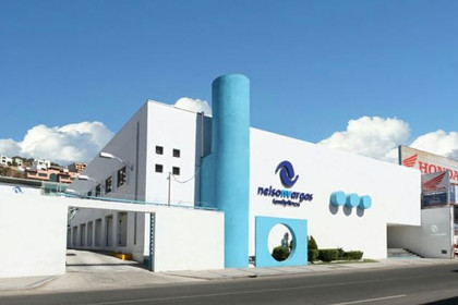 Imagen 2 de la galería del partner Nelson Vargas - Querétaro