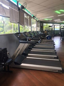 Imagem 1 da galeria do parceiro Arena Fit