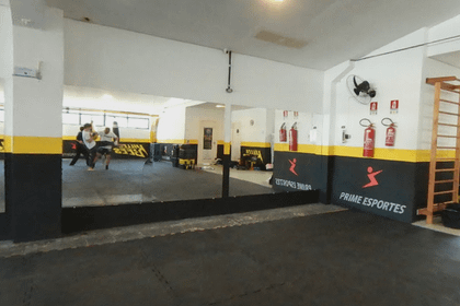 Imagem 5 da galeria do parceiro Killer Bees