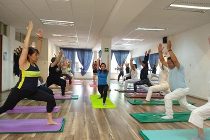 Imagen 5 de la galería del partner IDH Yoga RAM