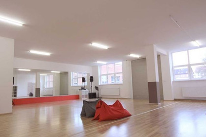 Bild 3 von German Dance Art Partnergalerie