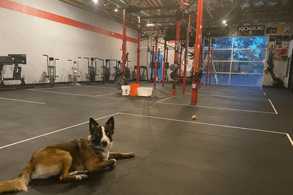 Image 9 from Branded One CrossFit partner gallery