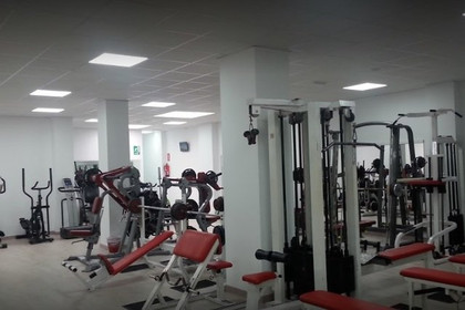 Imagen 4 de la galería del partner Deportivo Shaolin