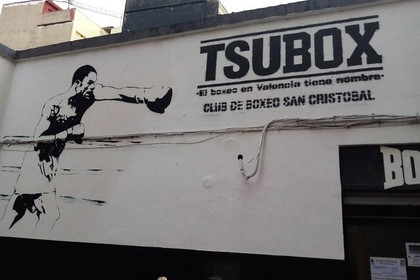 Imagen 3 de la galería del partner Tsubox