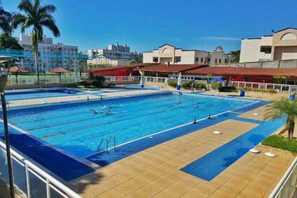 Imagem 2 da galeria do parceiro Tubarão natação bancários