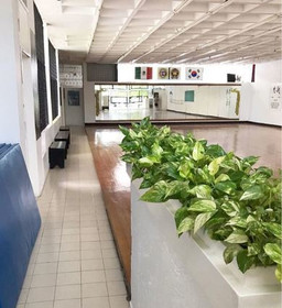Imagen 3 de la galería del partner Moo Duk Kwan Cancún