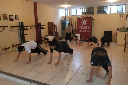 Imagen 2 de la galería del partner Taows Academy Saltillo