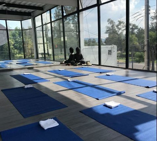Imagen 1 de la galería del partner The Yoga Lab