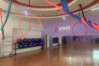 Imagen 1 de la galería del partner Plein Dance