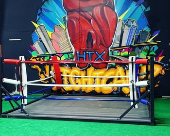 Image 4 from HTX Fight Camp partner gallery