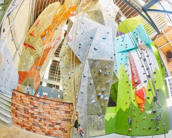 Imagem 5 da galeria do parceiro Rokaz Escalada