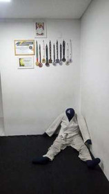 Imagem 3 da galeria do parceiro Fioresi Bjj