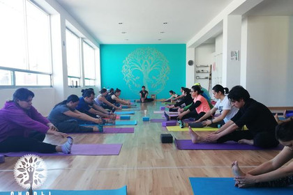 Imagen 4 de la galería del partner Shanti Yoga