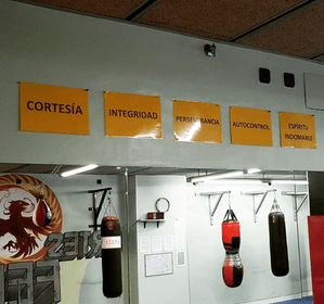 Imagen 3 de la galería del partner Gym Fenix