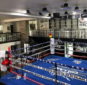 Imagen 4 de la galería del partner The White Collar Boxing Club