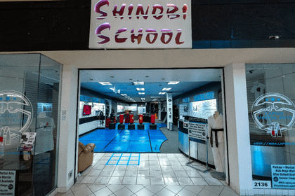 Image 2 from Shinobi School partner gallery
