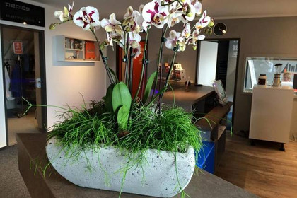 Bild 3 von InForm FitnessClub Partnergalerie