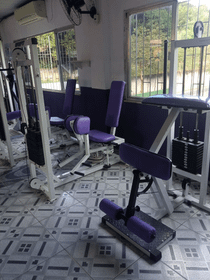 Imagem 5 da galeria do parceiro Academia Bebel Maia