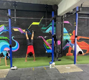 Imagen 2 de la galería del partner Phoenix Fitness Center