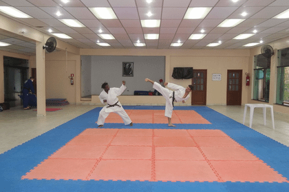 Imagem 4 da galeria do parceiro Clube Aquático Da Aclimação