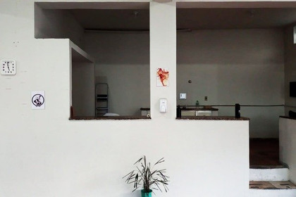 Imagem 1 da galeria do parceiro Okami Dojo