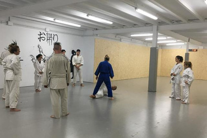 Imagen 2 de la galería del partner Club Esportiu Okaeri