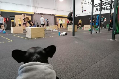Imagen 5 de la galería del partner CrossFit Almeda