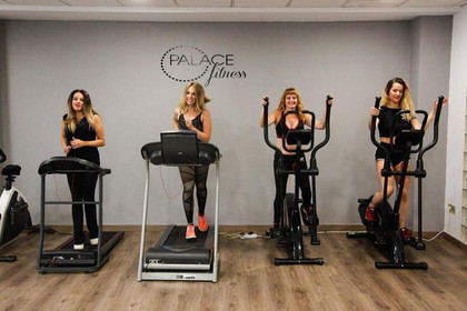 Imagen 7 de la galería del partner Palace Fitness
