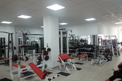 Imagen 7 de la galería del partner Deportivo Shaolin