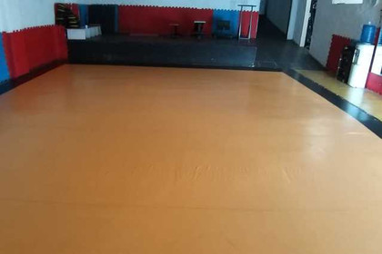 Imagem 5 da galeria do parceiro American Gym